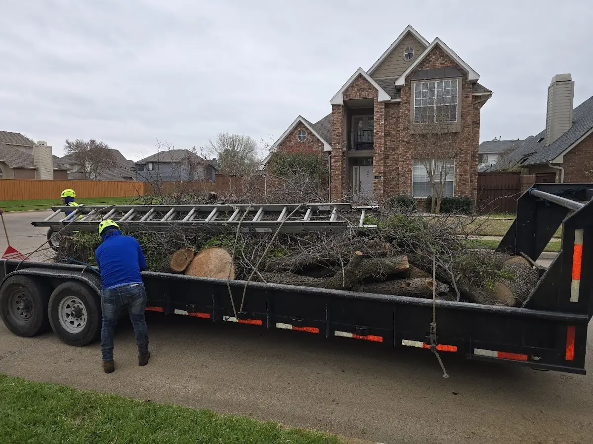 Expert Lot Clearing with proper safety equipment in Milton